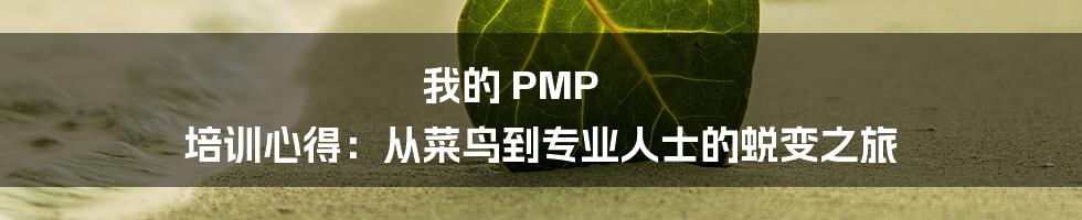 我的 PMP 培训心得：从菜鸟到专业人士的蜕变之旅