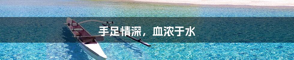 手足情深，血浓于水