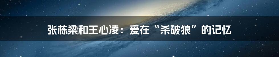 张栋梁和王心凌：爱在“杀破狼”的记忆