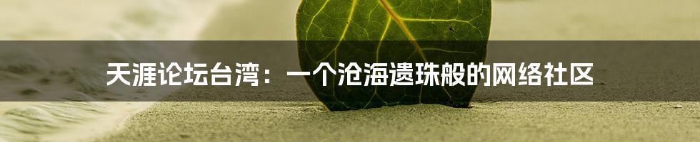 天涯论坛台湾：一个沧海遗珠般的网络社区