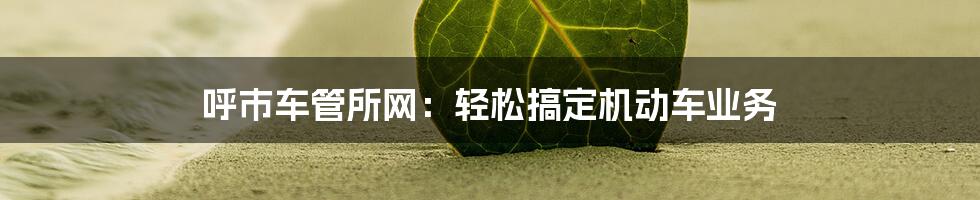 呼市车管所网：轻松搞定机动车业务