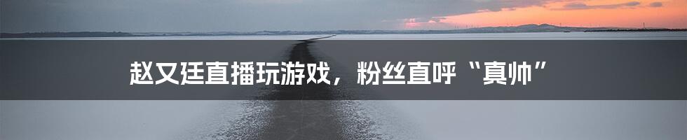 赵又廷直播玩游戏，粉丝直呼“真帅”