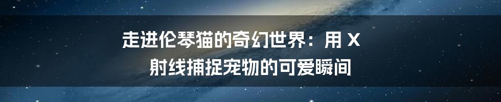 走进伦琴猫的奇幻世界：用 X 射线捕捉宠物的可爱瞬间