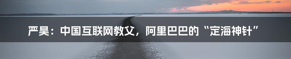 严昊：中国互联网教父，阿里巴巴的“定海神针”