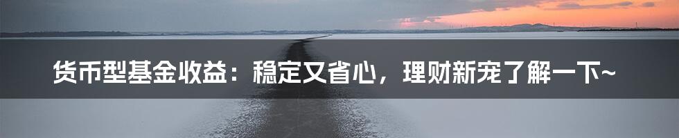 货币型基金收益：稳定又省心，理财新宠了解一下~