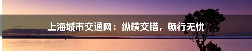 上海城市交通网：纵横交错，畅行无忧