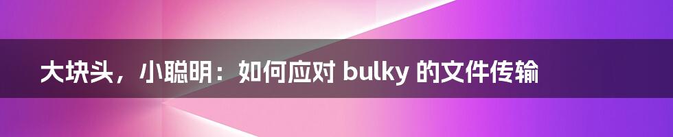 大块头，小聪明：如何应对 bulky 的文件传输