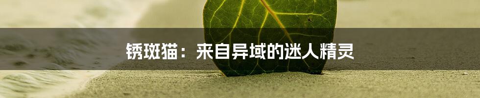 锈斑猫：来自异域的迷人精灵