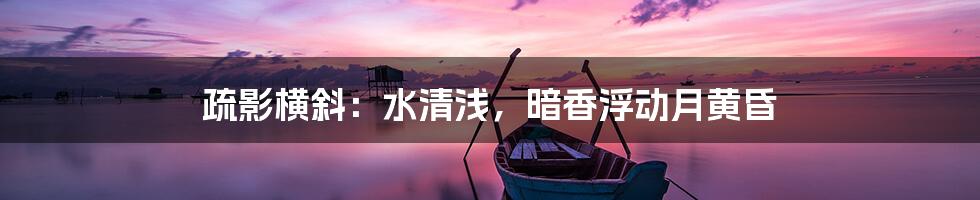 疏影横斜：水清浅，暗香浮动月黄昏