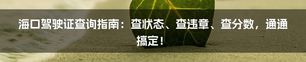 海口驾驶证查询指南：查状态、查违章、查分数，通通搞定！