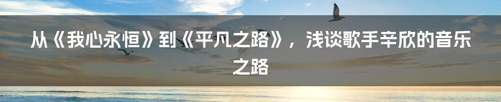 从《我心永恒》到《平凡之路》，浅谈歌手辛欣的音乐之路