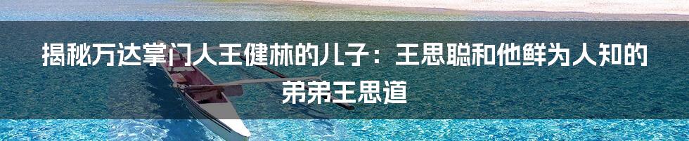 揭秘万达掌门人王健林的儿子：王思聪和他鲜为人知的弟弟王思道