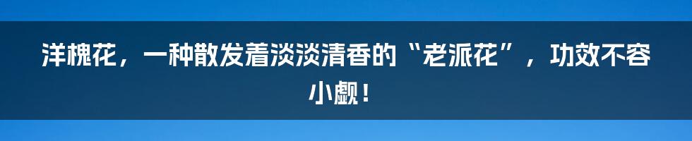 洋槐花，一种散发着淡淡清香的“老派花”，功效不容小觑！