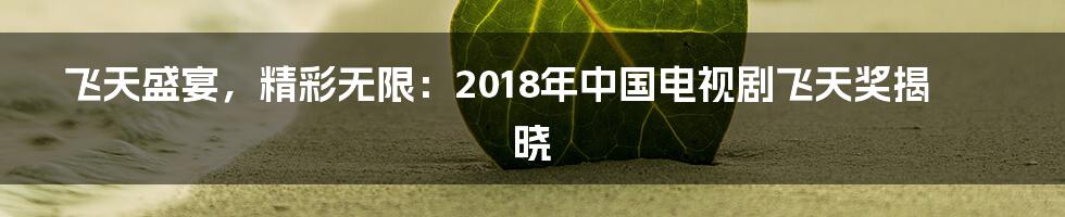 飞天盛宴，精彩无限：2018年中国电视剧飞天奖揭晓