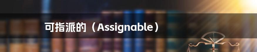 可指派的（Assignable）