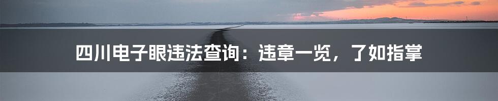 四川电子眼违法查询：违章一览，了如指掌