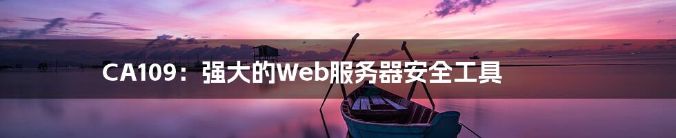 CA109：强大的Web服务器安全工具