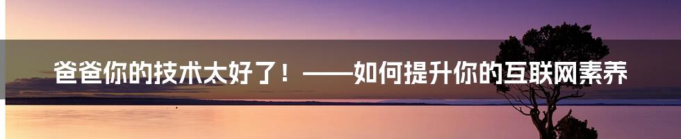 爸爸你的技术太好了！——如何提升你的互联网素养