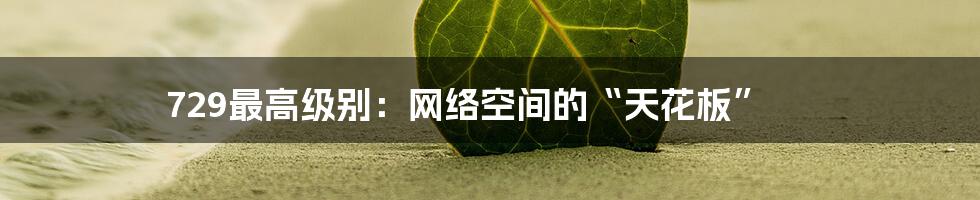 729最高级别：网络空间的“天花板”