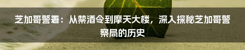 芝加哥警署：从禁酒令到摩天大楼，深入探秘芝加哥警察局的历史