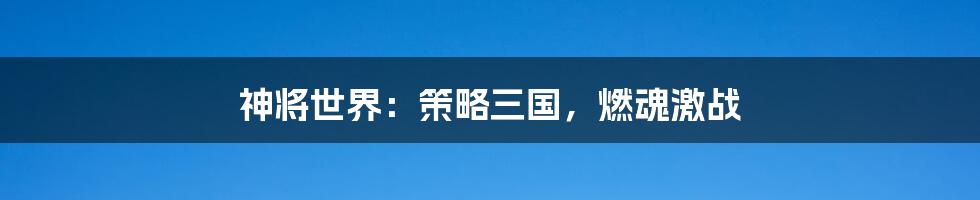 神将世界：策略三国，燃魂激战