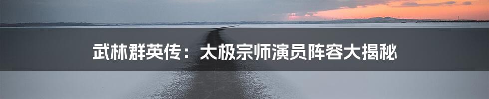 武林群英传：太极宗师演员阵容大揭秘