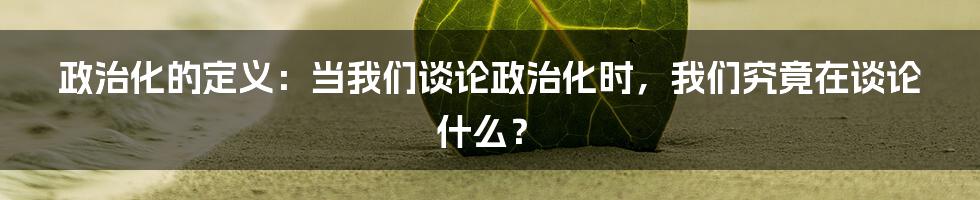 政治化的定义：当我们谈论政治化时，我们究竟在谈论什么？