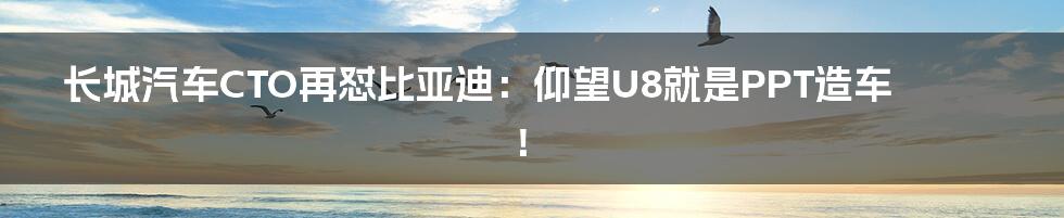 长城汽车CTO再怼比亚迪：仰望U8就是PPT造车！