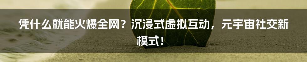 凭什么就能火爆全网？沉浸式虚拟互动，元宇宙社交新模式！