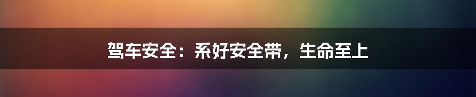 驾车安全：系好安全带，生命至上