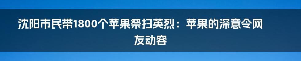 沈阳市民带1800个苹果祭扫英烈：苹果的深意令网友动容