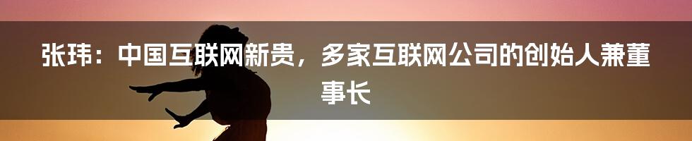 张玮：中国互联网新贵，多家互联网公司的创始人兼董事长