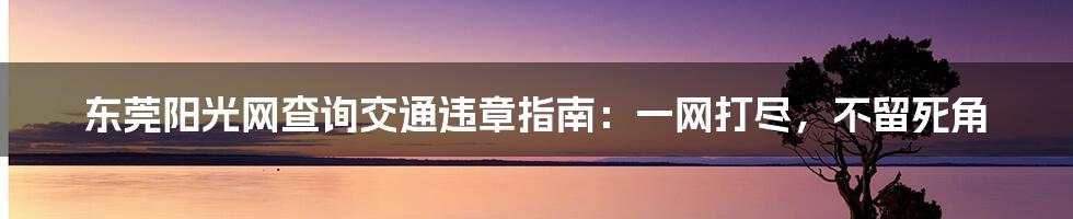 东莞阳光网查询交通违章指南：一网打尽，不留死角