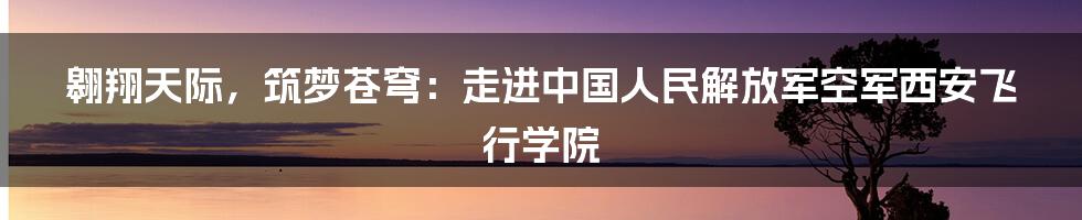 翱翔天际，筑梦苍穹：走进中国人民解放军空军西安飞行学院