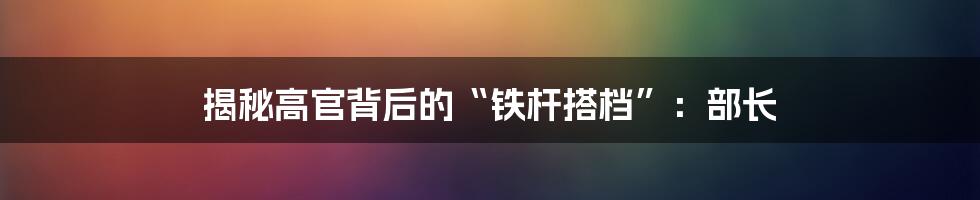 揭秘高官背后的“铁杆搭档”：部长