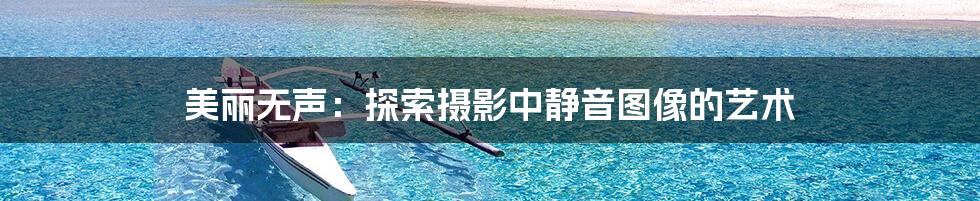 美丽无声：探索摄影中静音图像的艺术