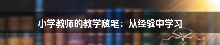 小学教师的教学随笔：从经验中学习