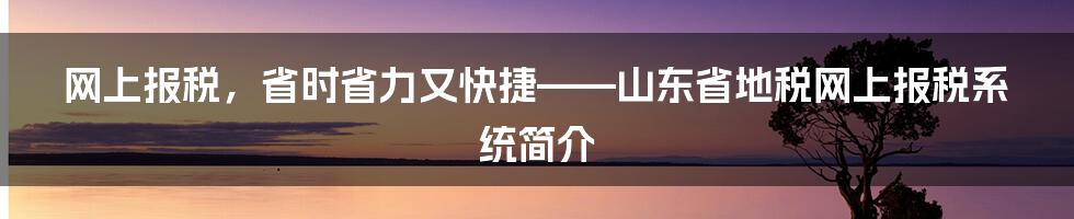 网上报税，省时省力又快捷——山东省地税网上报税系统简介