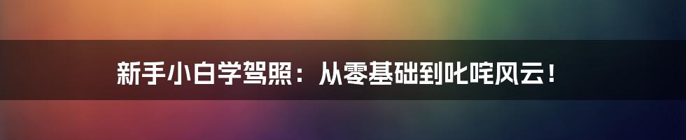 新手小白学驾照：从零基础到叱咤风云！