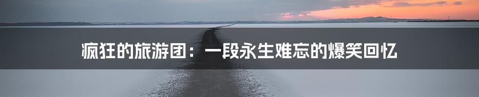 疯狂的旅游团：一段永生难忘的爆笑回忆