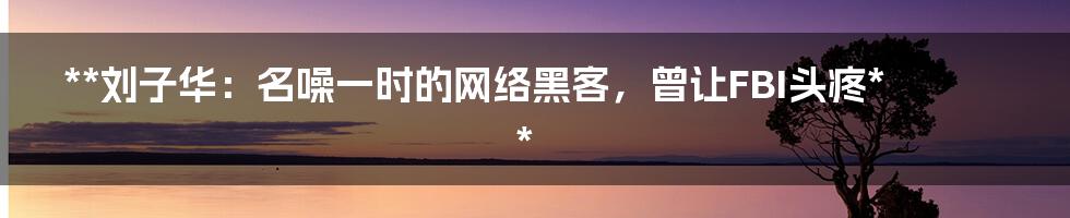 **刘子华：名噪一时的网络黑客，曾让FBI头疼**