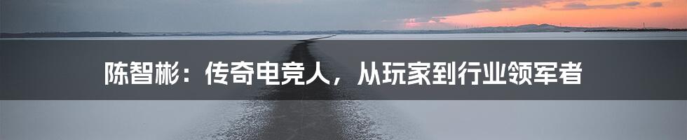 陈智彬：传奇电竞人，从玩家到行业领军者