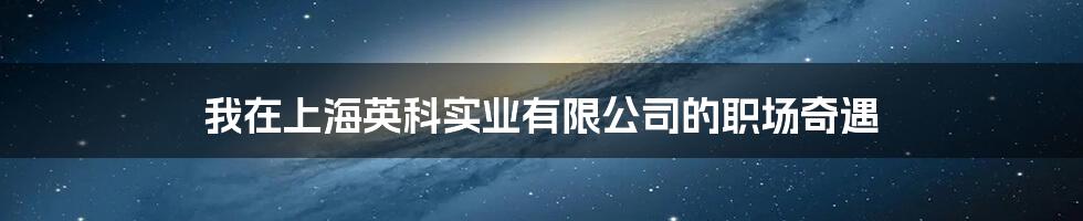 我在上海英科实业有限公司的职场奇遇