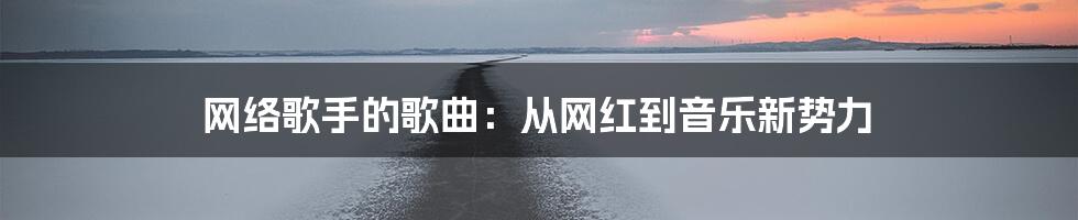 网络歌手的歌曲：从网红到音乐新势力