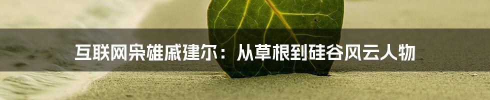 互联网枭雄戚建尔：从草根到硅谷风云人物