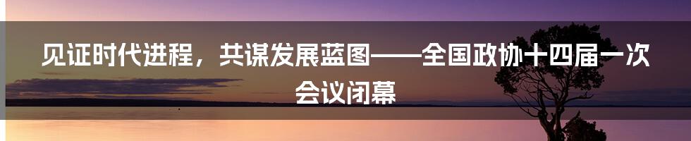 见证时代进程，共谋发展蓝图——全国政协十四届一次会议闭幕