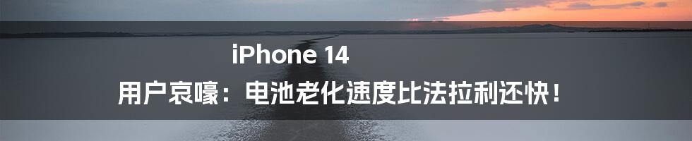 iPhone 14 用户哀嚎：电池老化速度比法拉利还快！