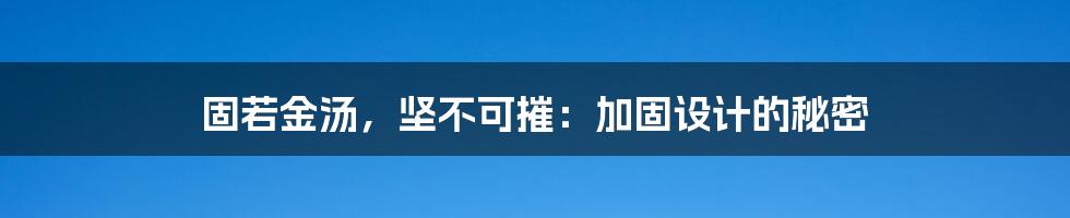 固若金汤，坚不可摧：加固设计的秘密