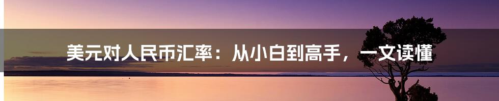 美元对人民币汇率：从小白到高手，一文读懂