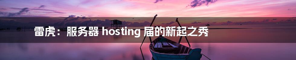 雷虎：服务器 hosting 届的新起之秀